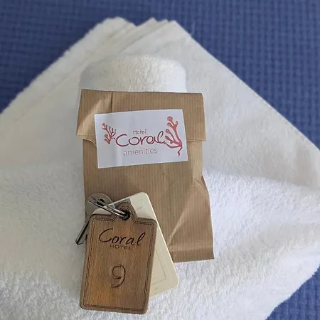 Coral Guest house Frangocastelo